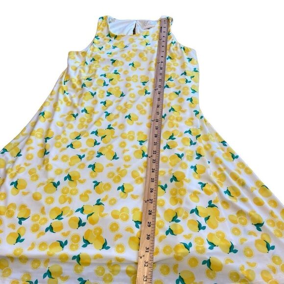 Pappagallo Lemon Print Sleeveless Dress. Size Small. New with Tags!! - Picture 14 of 14